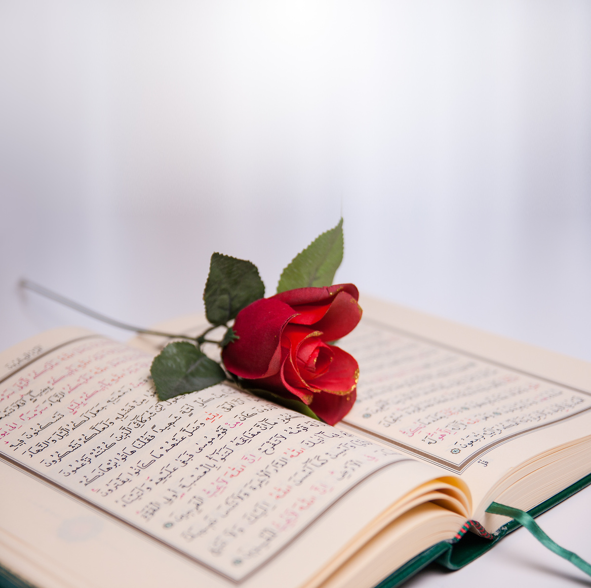 Holy Quran and roses